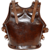 Leather Royal Muscle Armour