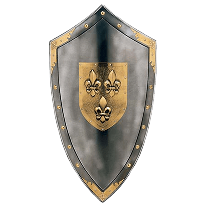 Metallic Duchy of Anjou Shield by Marto