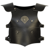 Childrens Lionheart Armour