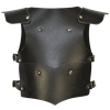 Childrens Lionheart Armour