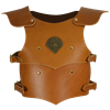 Childrens Lionheart Armour