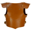 Childrens Lionheart Armour