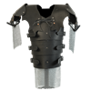 Elven Warrior Leather Armour with Chainmail
